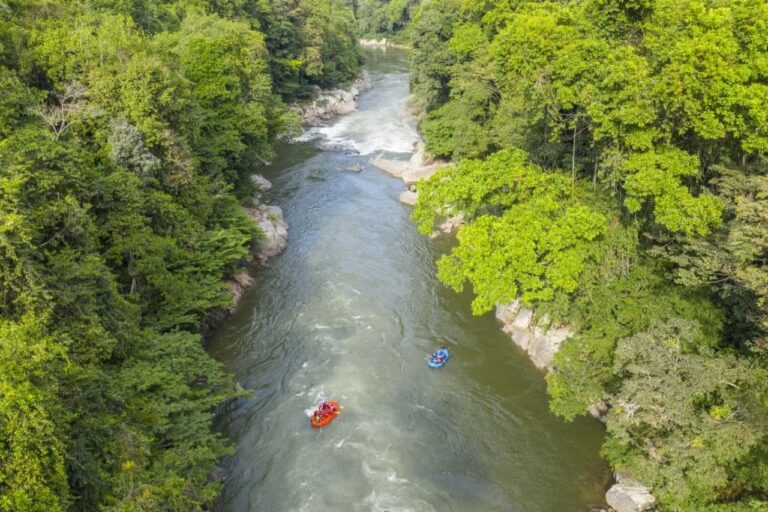 Guajira & Palomino Trek – 7 Days An aerial view shows two rafts navigating a river between lush, green forest banks.